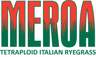 Meroa Tetraploid Italian Ryegrass Logo