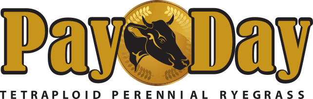 Payday Tetraploid Perennial Ryegrass Logo